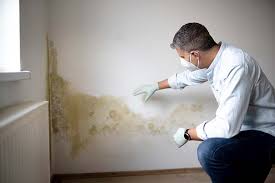 Best Industrial Mold Remediation  in Middletown, MD